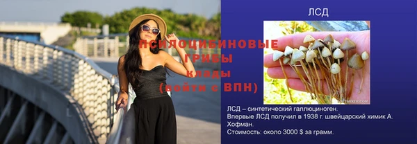 дмт Заволжье