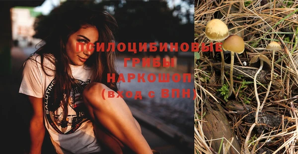 индика Заволжск