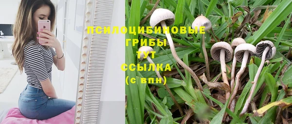 дмт Заволжье
