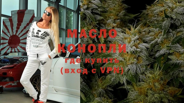 индика Заволжск