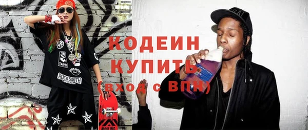 индика Заволжск
