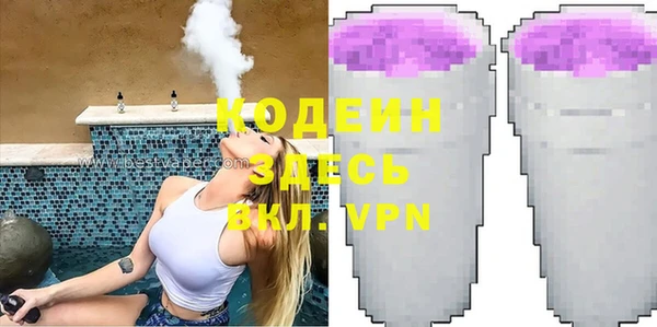 индика Заволжск