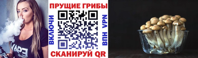 Псилоцибиновые грибы ЛСД Бузулук